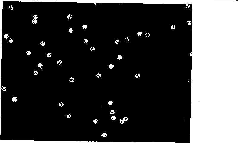 Method for preparing shell-core micrometer/nanometer spheres capable of preventing functional materials