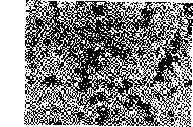 Method for preparing shell-core micrometer/nanometer spheres capable of preventing functional materials