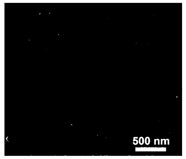 Electrically conductive macromolecular nano-material and application of electrically conductive macromolecular nano-material