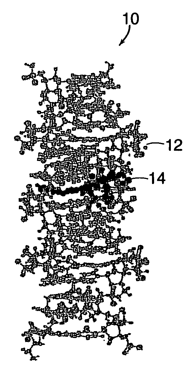 Drug-carrier complexes and methods of use thereof