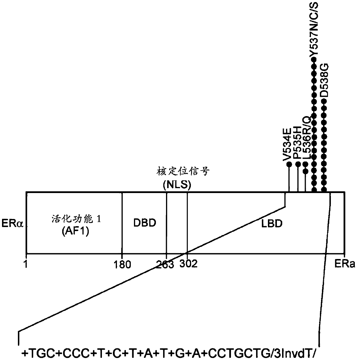 Lna-based mutant enrichment next-generation sequencing assays