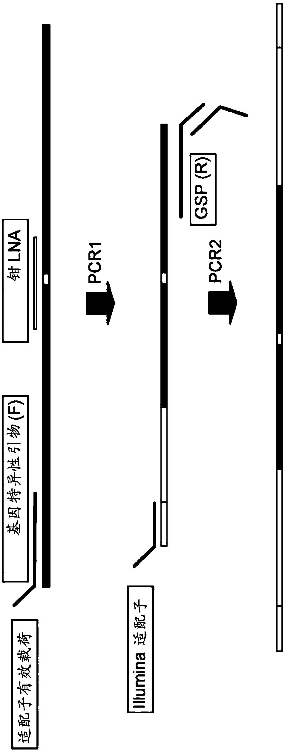 Lna-based mutant enrichment next-generation sequencing assays