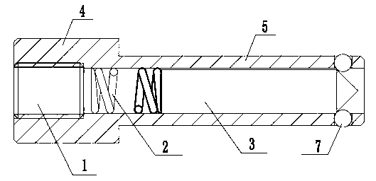 Novel fixing bolt for hole