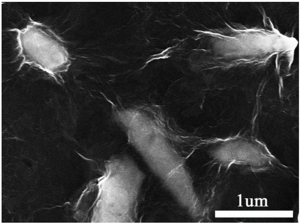 High-stability calcium hydroxide/graphene nanocomposite and preparation method