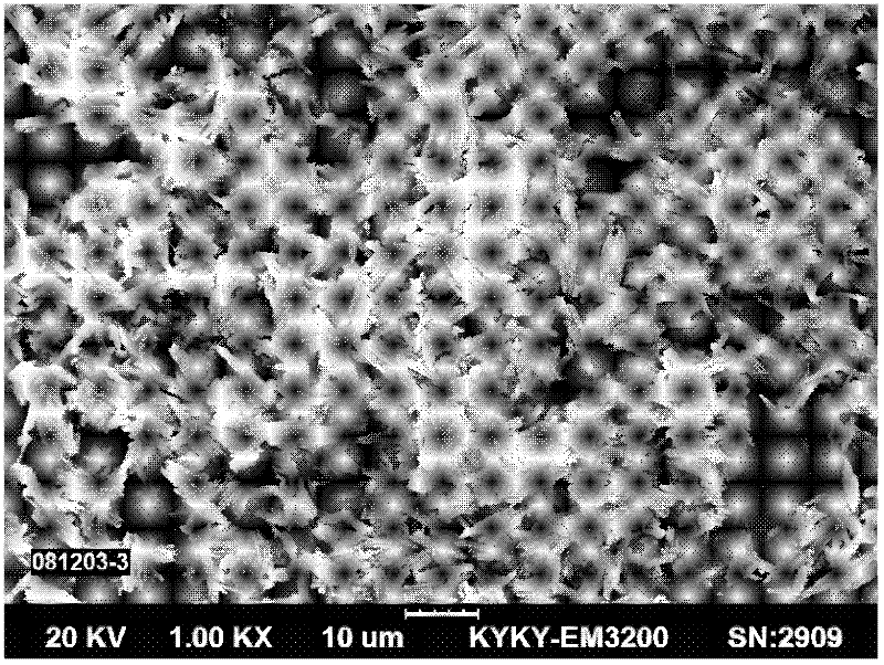 Ammonia circulative preparation method for cobaltous oxalate