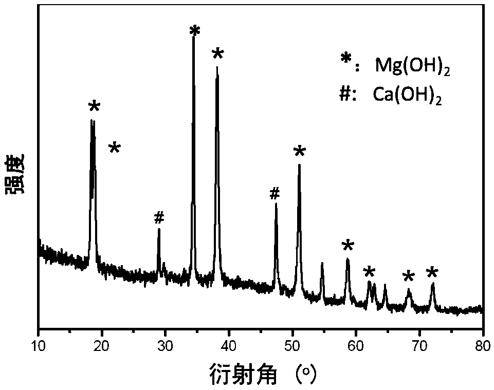 Magnesium hydroxide-calcium alginate composite fire retardant and preparation method thereof