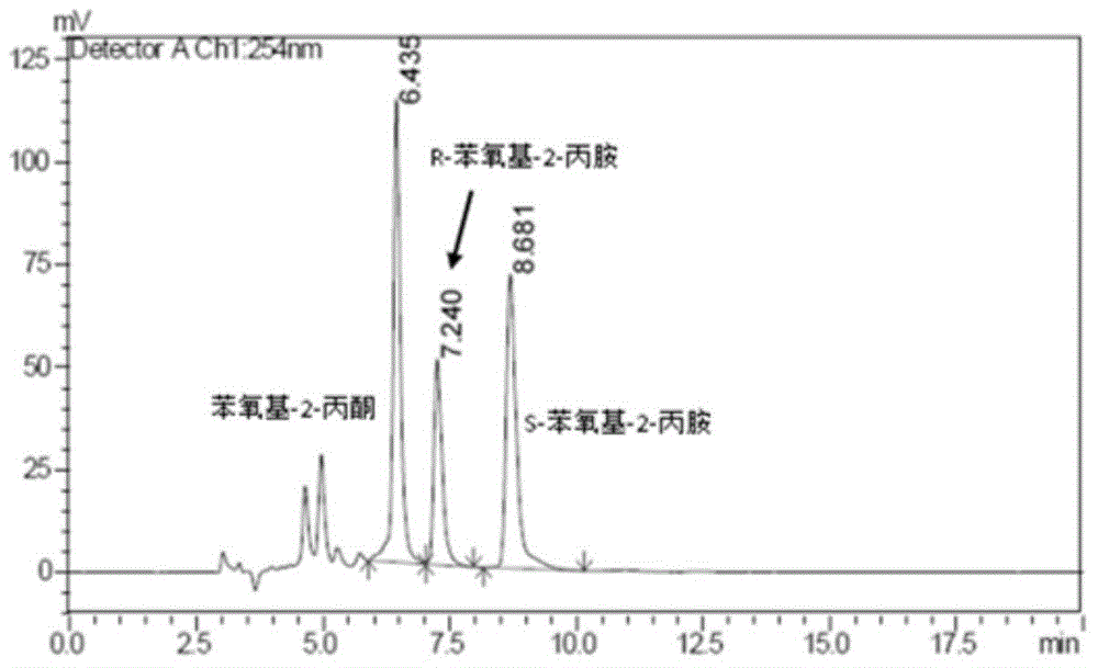 Method for preparing chiral amine from multi-enzyme coupled systems