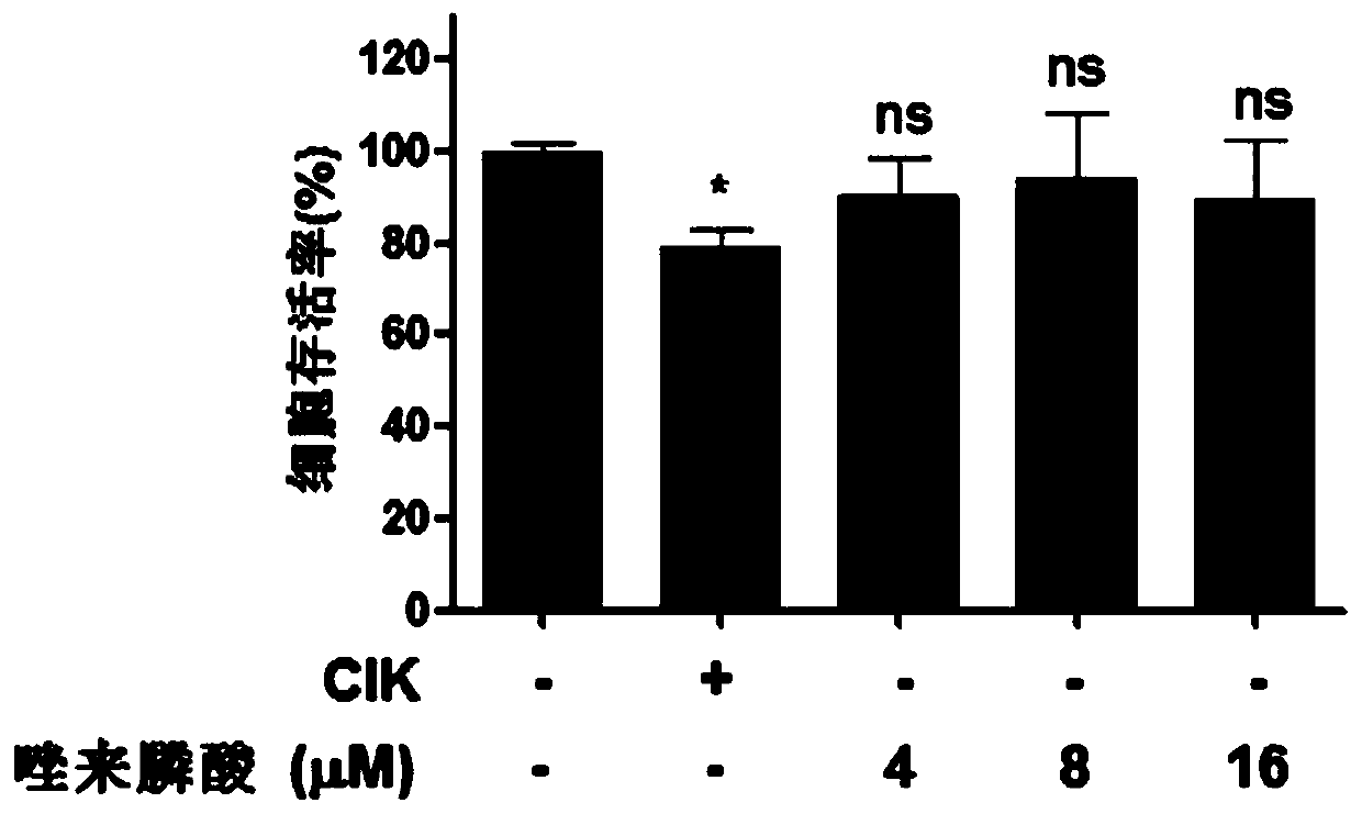 An anti-tumor combination drug