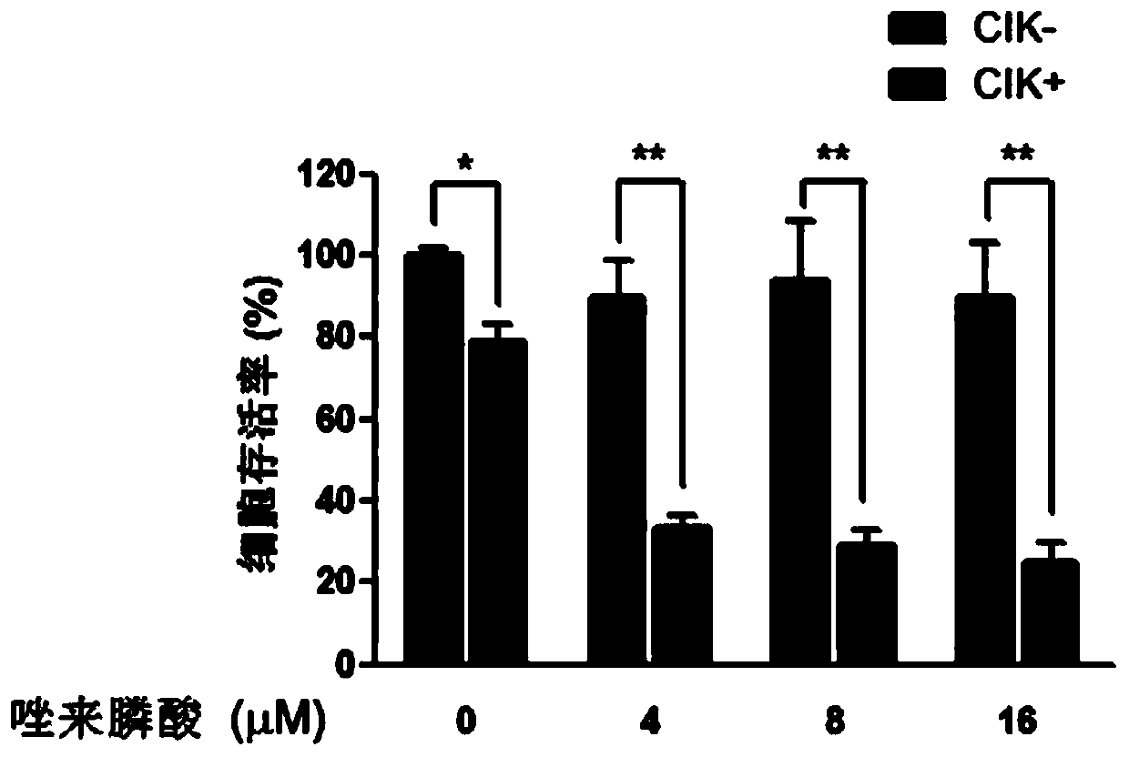 An anti-tumor combination drug