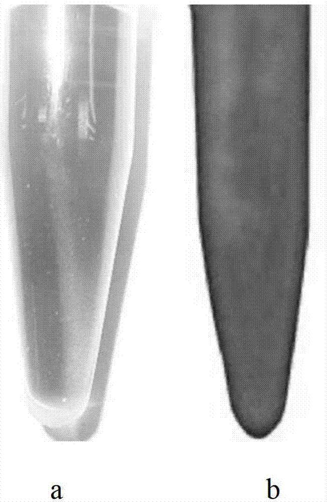 Fluorescence contrast agent and preparation method thereof