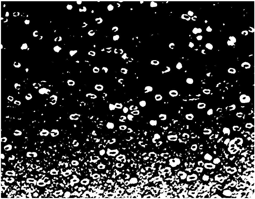 Method for improving whiteness of xanthan gum through fermentation condition control and method for detecting xanthan gum fermentation broth