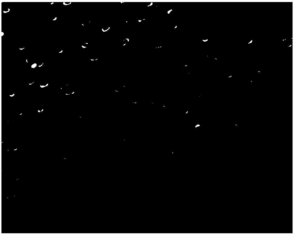 Method for improving whiteness of xanthan gum through fermentation condition control and method for detecting xanthan gum fermentation broth