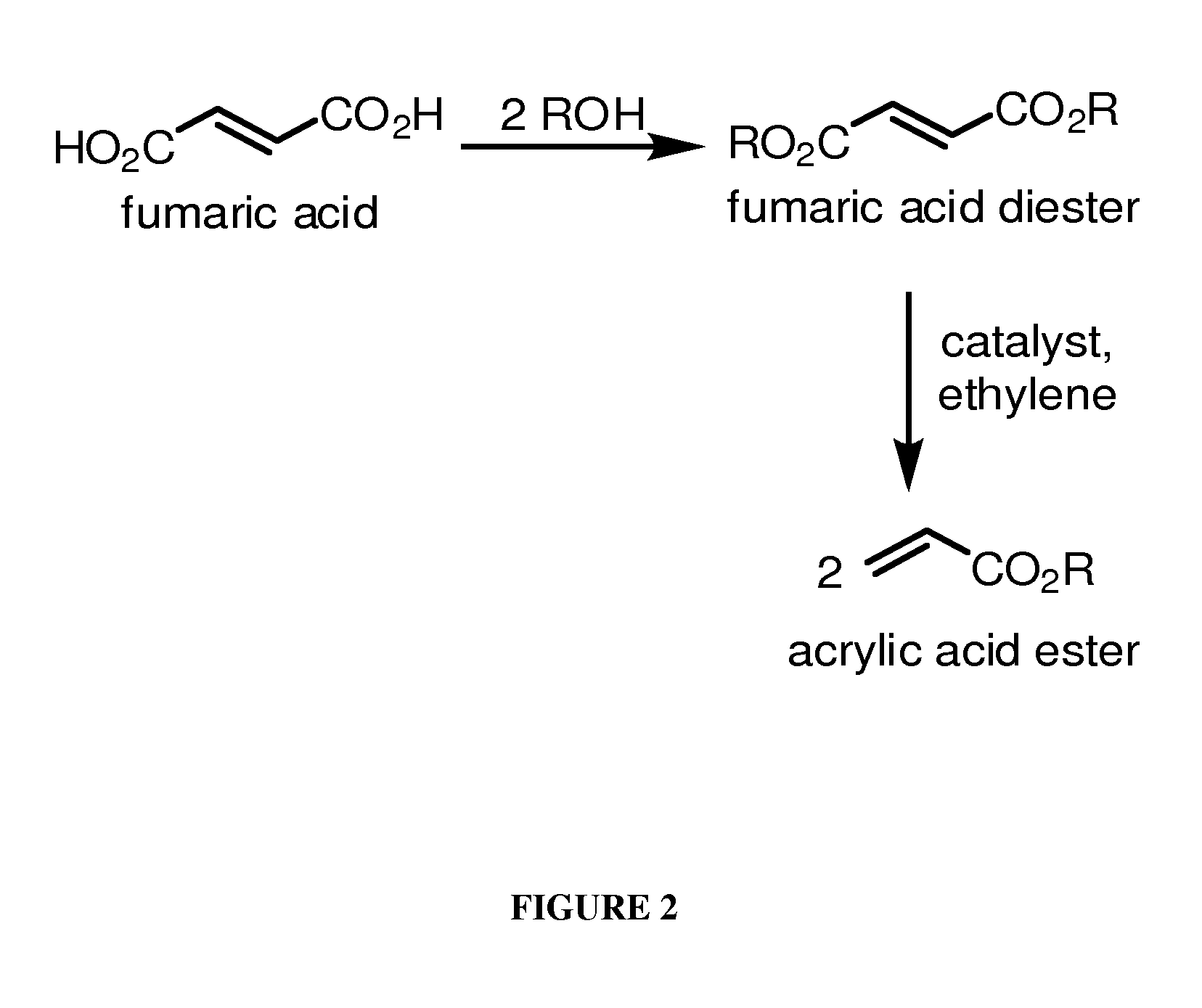 Methods for the synthesis of olefins and derivatives