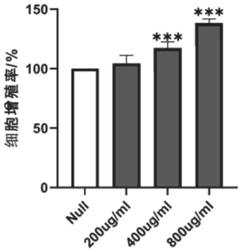 Sea intestine gum as well as preparation method and application thereof