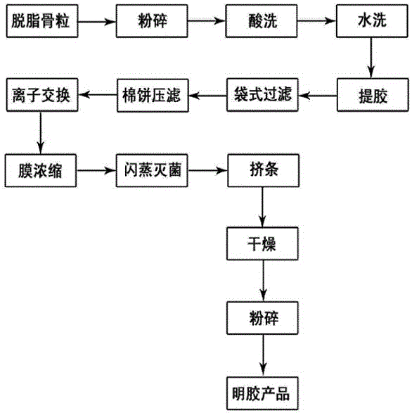 Process for enzymatic preparation of gelatin