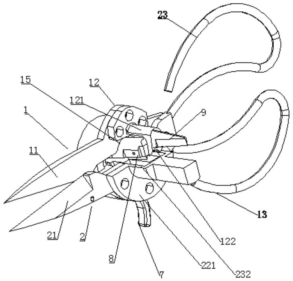 Shrimp scissors