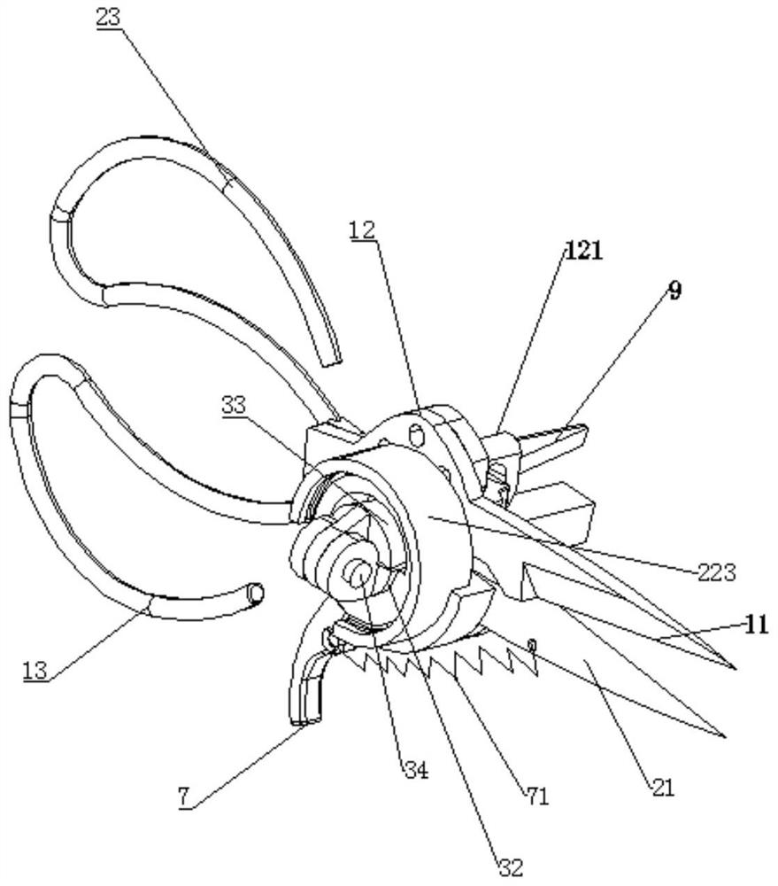 Shrimp scissors