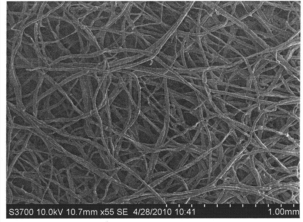 Styrene-acrylate emulsion with hydrophobic oleophylic fluorine-silicon-modified nuclear shell structure and preparation method thereof