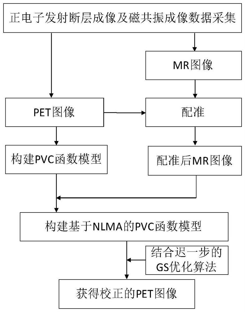 Non-local mean-guided partial volume correction method for PET images constrained by MR structural information