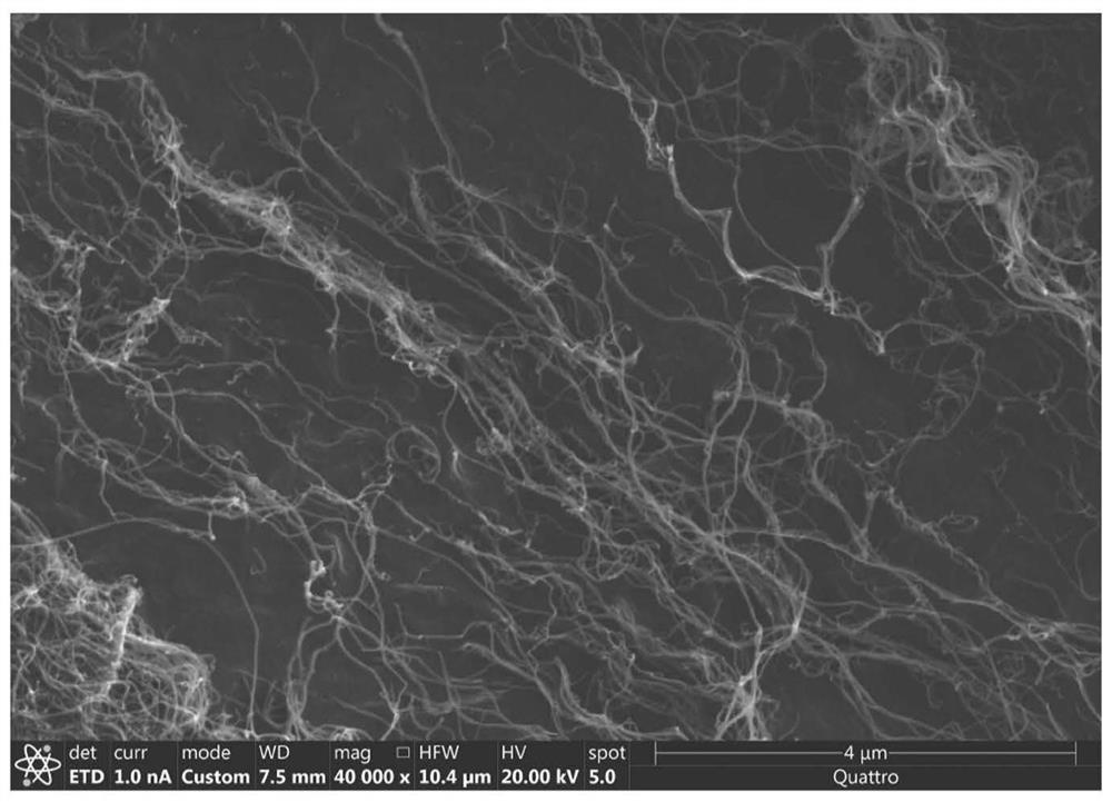 Olefinic carbon material dispersion liquid and application thereof