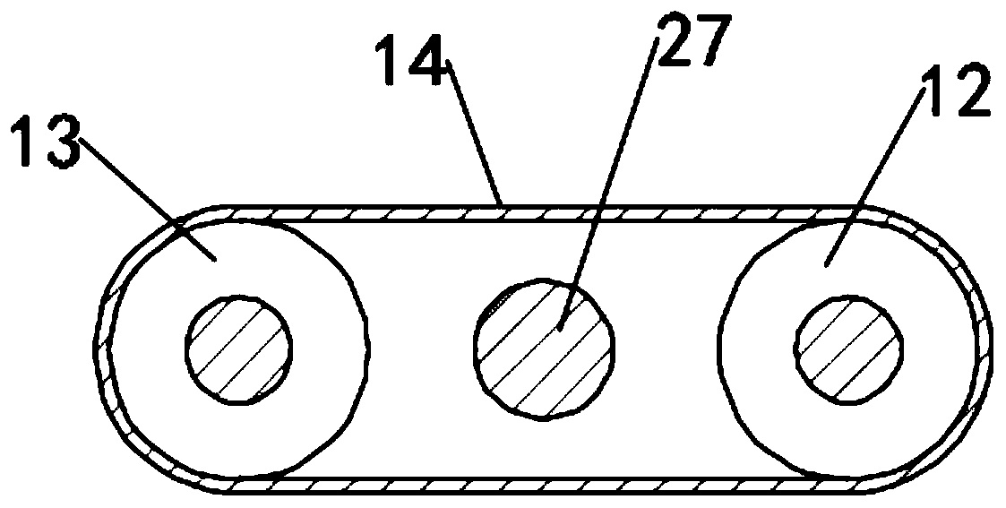 Processing device and method for product capable of tonifyig qi and blood, delaying ageing and improving facial appearance