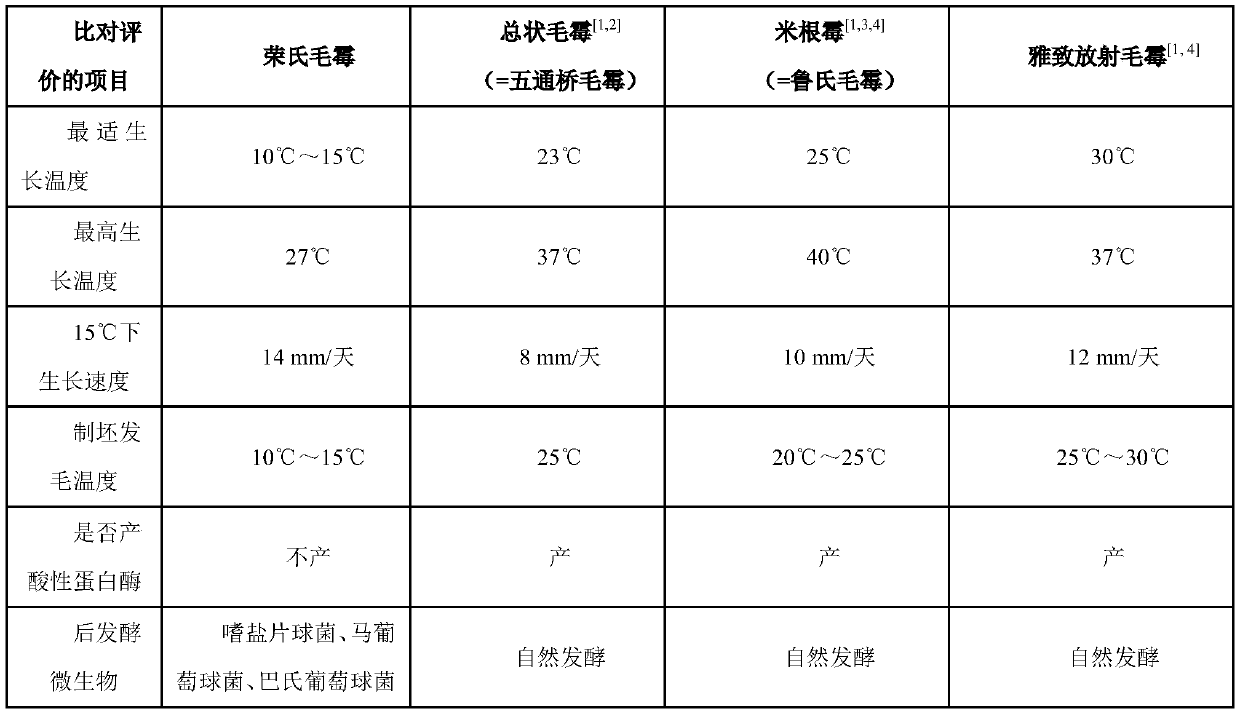 Cold resistant mucor rongensis and application thereof in production of fermented green bean curd