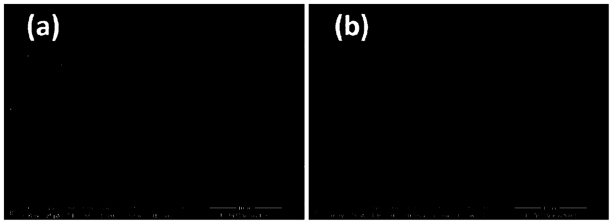 Method for preparing cobalt oxide coated ternary positive electrode material