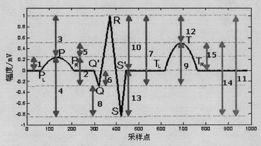 Continuous blood pressure measuring device