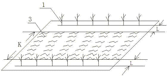 Protective cultivation method of tea garden