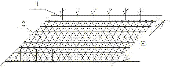 Protective cultivation method of tea garden