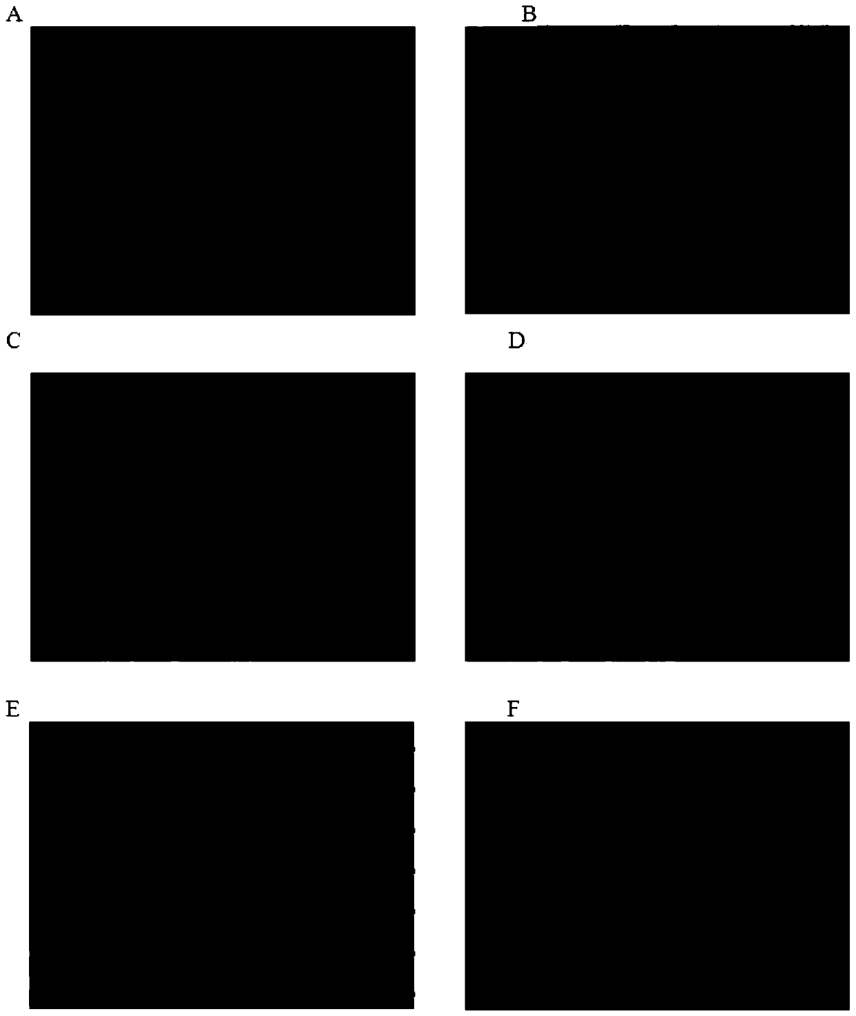 Micro-immunofluorescence detection method without cell loss