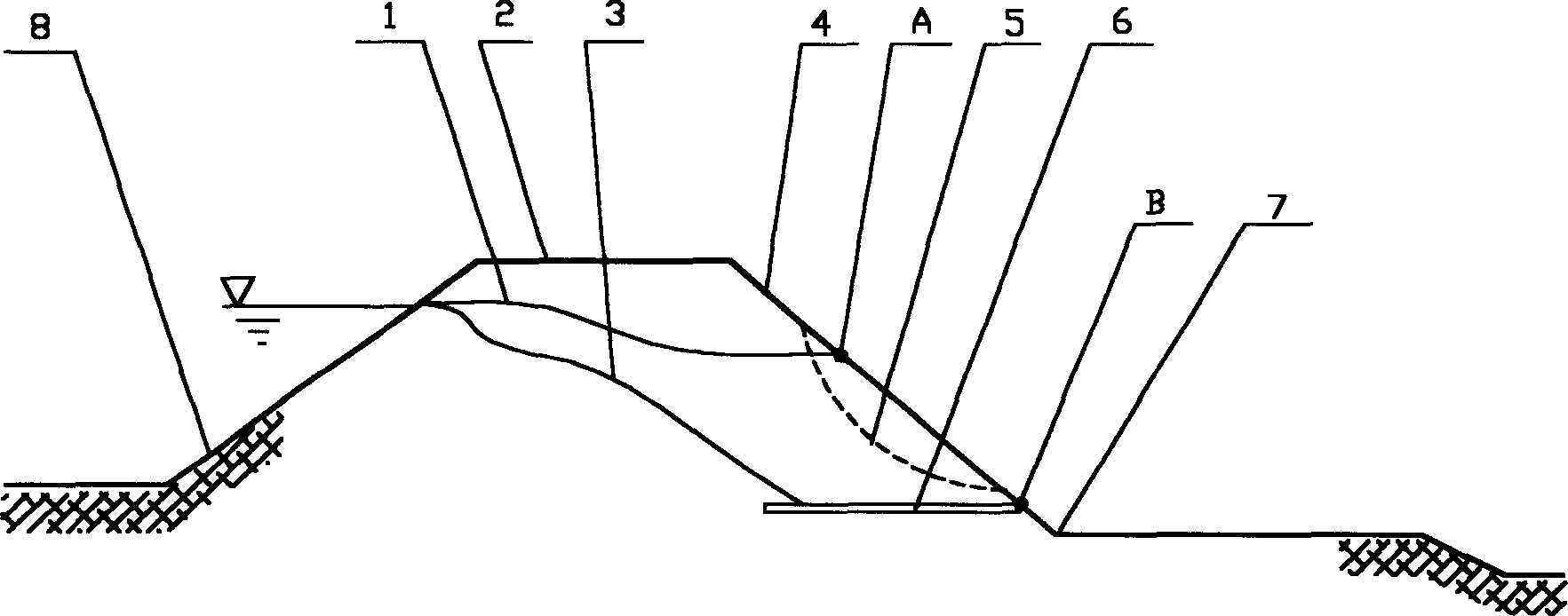 Method for lowering seepage line of body of dam by adopting osyris wightiana guide filtration