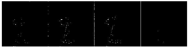 Non-subsampled shearlet transformation-based high-resolution three-SAR image speckle reduction method