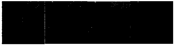 Non-subsampled shearlet transformation-based high-resolution three-SAR image speckle reduction method