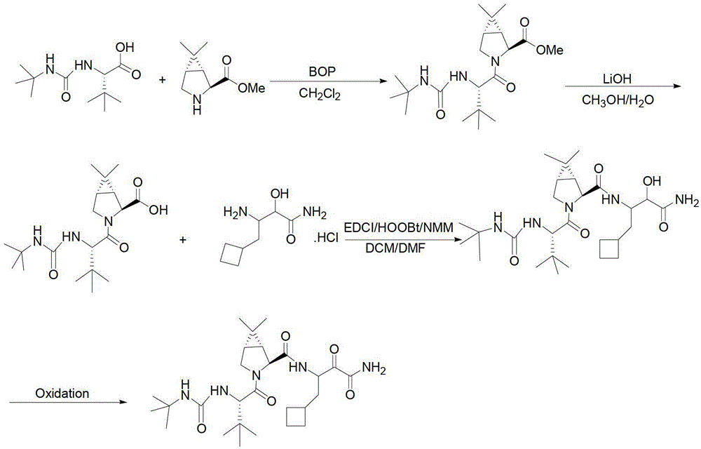 Anti-HCV drug Boceprevir intermediate II preparation method and application thereof