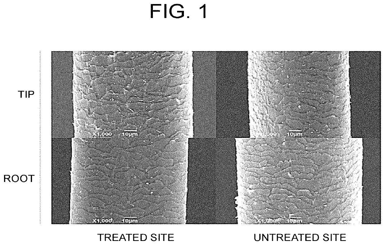 Pharmaceutical composition for use in improving quality of scalp or skin, wound healing, or improving quality of hair