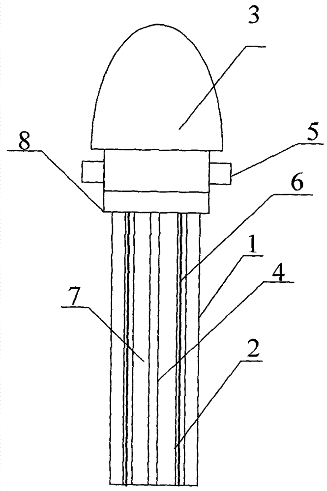 Brain buried pipe medicine applying cannula capable of recording cell external electric potential