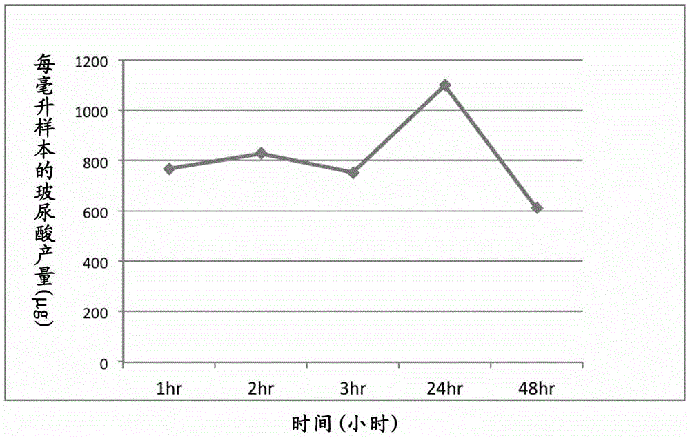 Probiotic strains producing hyaluronic acid and uses thereof