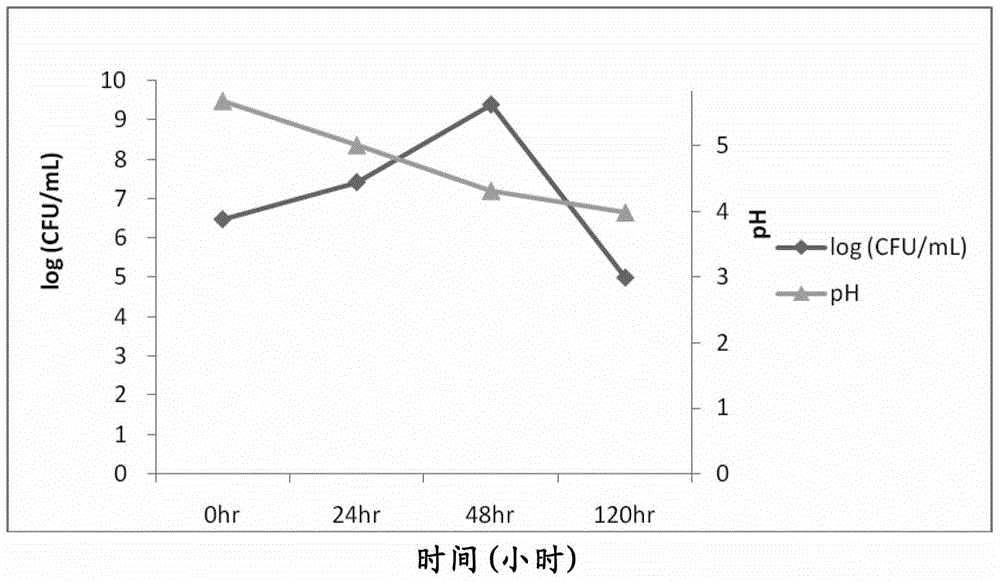 Probiotic strains producing hyaluronic acid and uses thereof