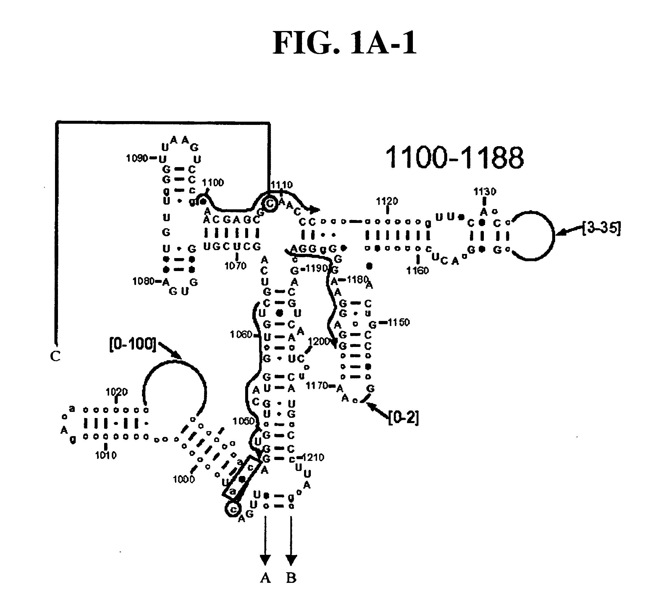 Method for rapid detection and identification of bioagents