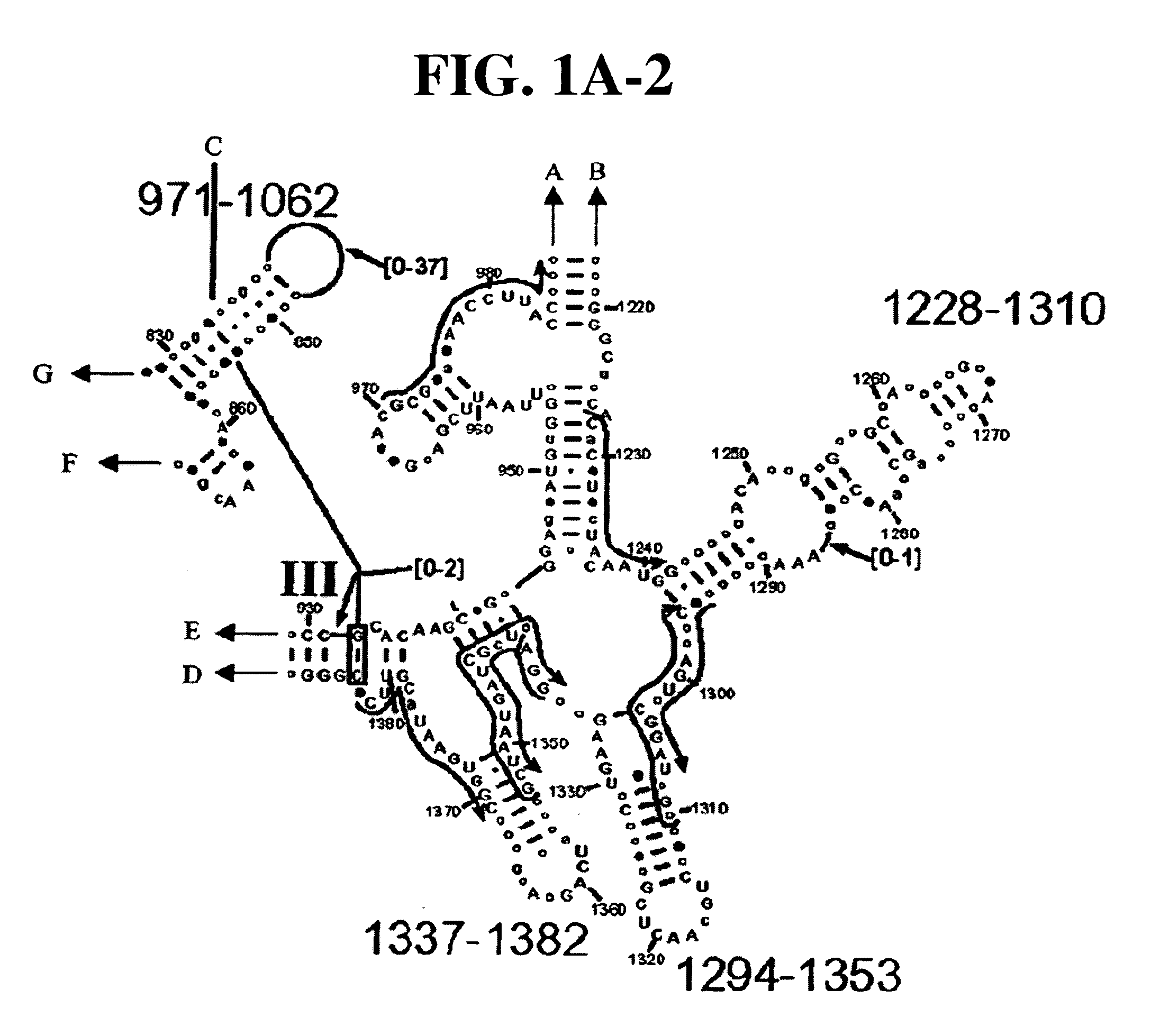 Method for rapid detection and identification of bioagents