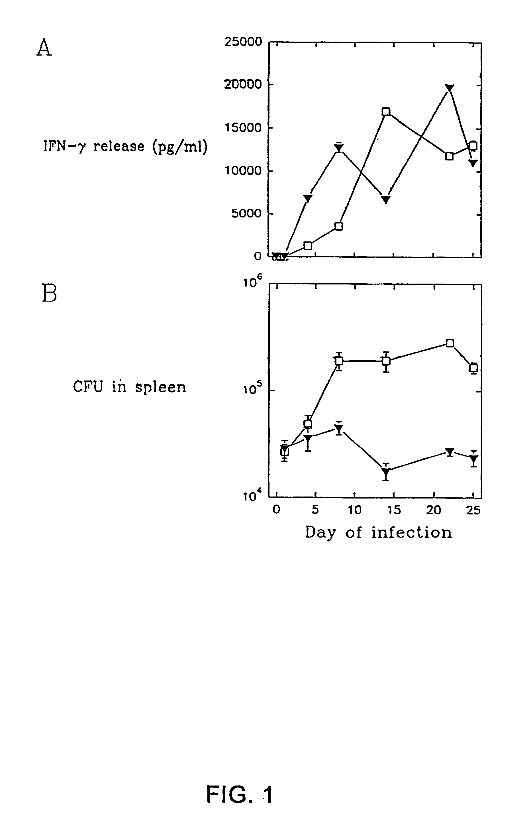 Nucleic acid fragments and polypeptide fragments derived from M. tuberculosis