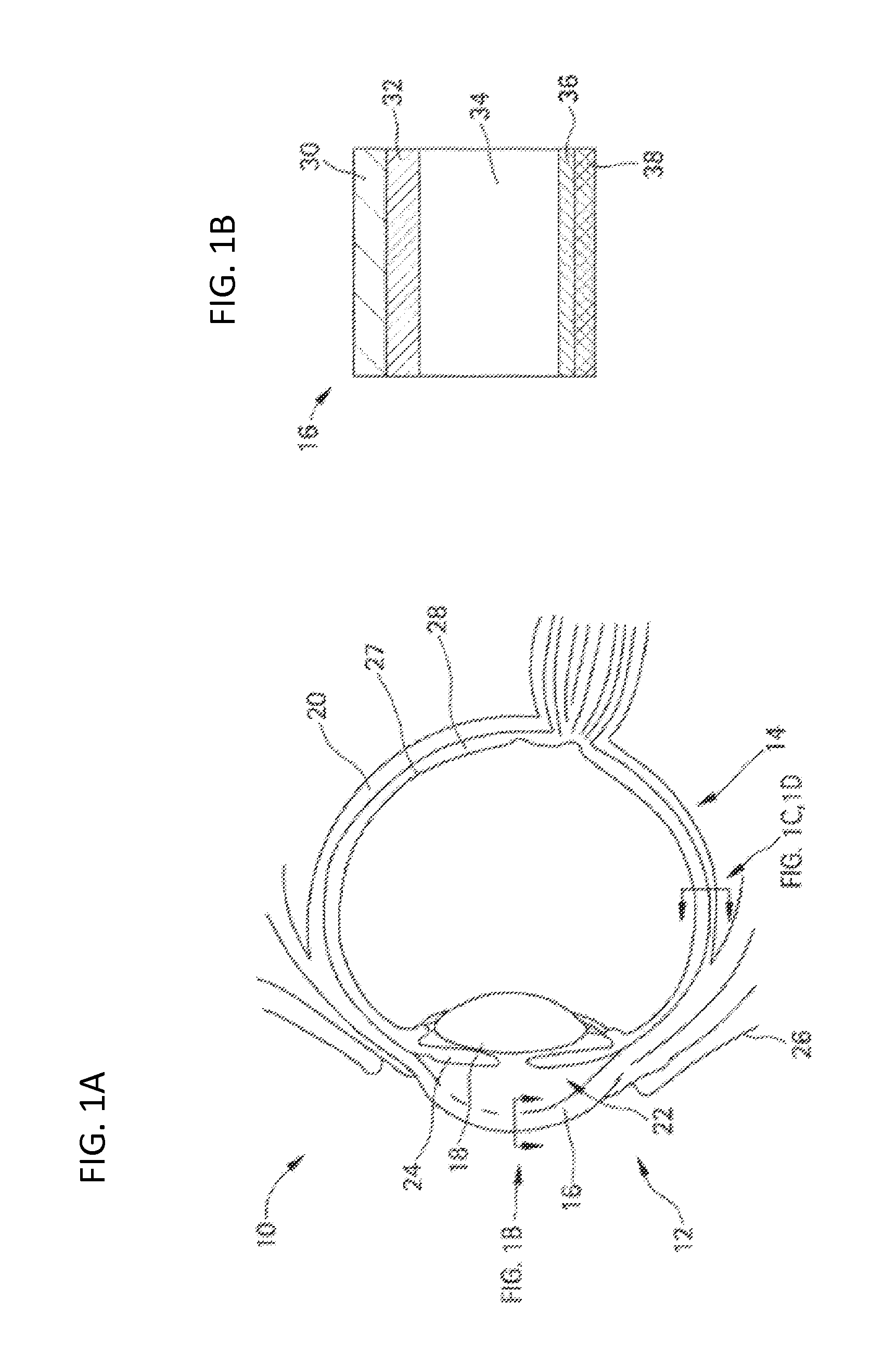 Methods and devices for the treatment of ocular diseases in human subjects