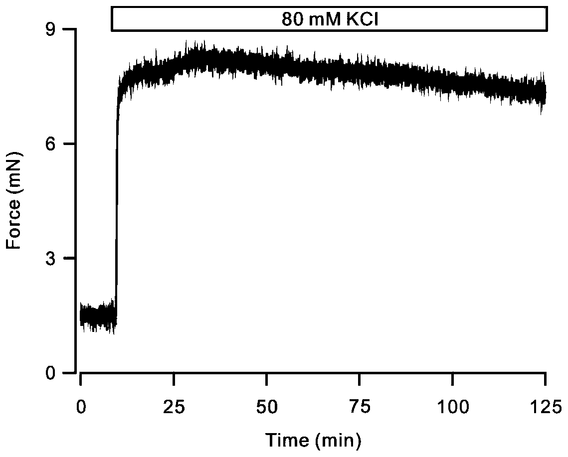 A medicament with Ruoye or Ruoye extract as active ingredient