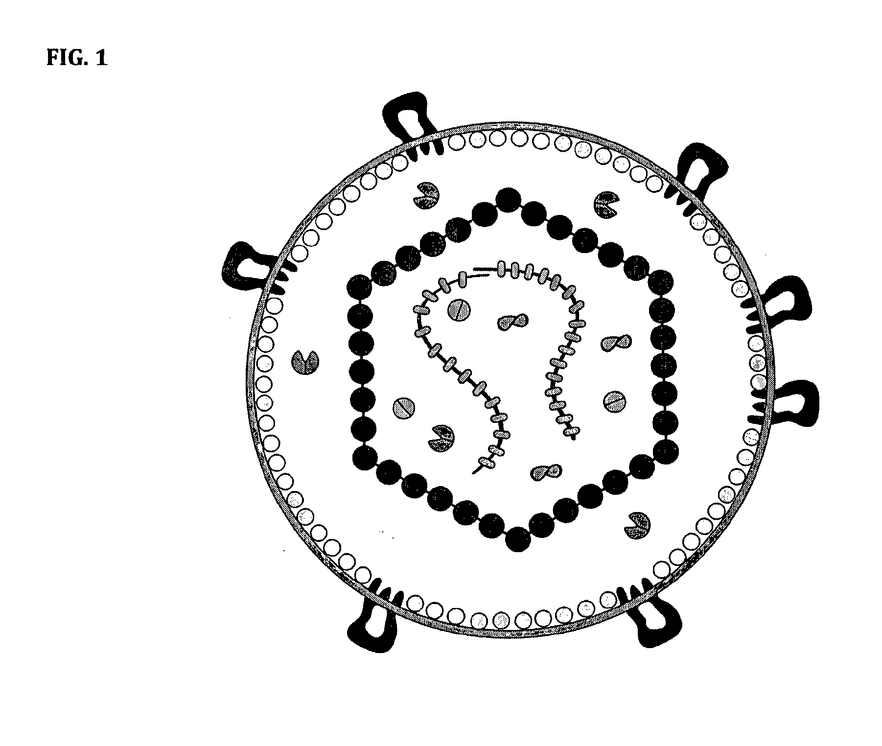 Antigen and method for production thereof