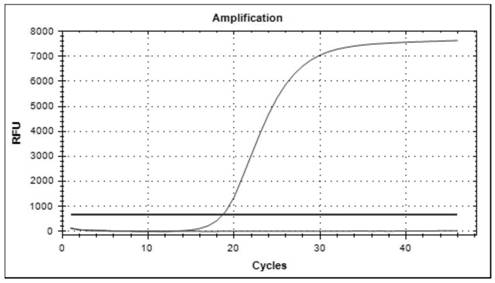 Primer and probe for detecting Zika virus