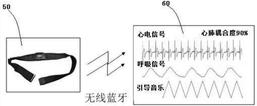 Cardiopulmonary coupling feedback method and device