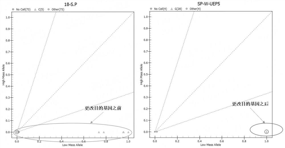 Primer group for detecting nucleic acid of central nervous infection pathogen, product and application