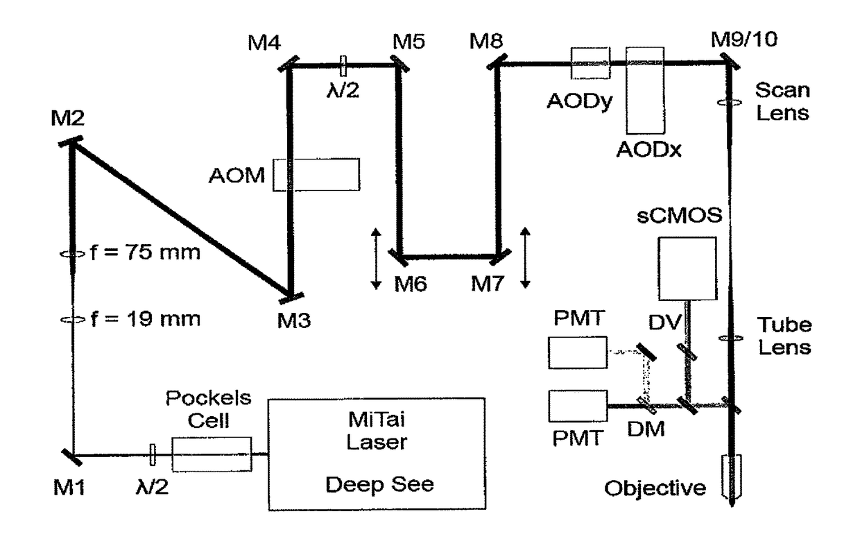 Structured illumination microscopy utilising acousto-optic deflectors