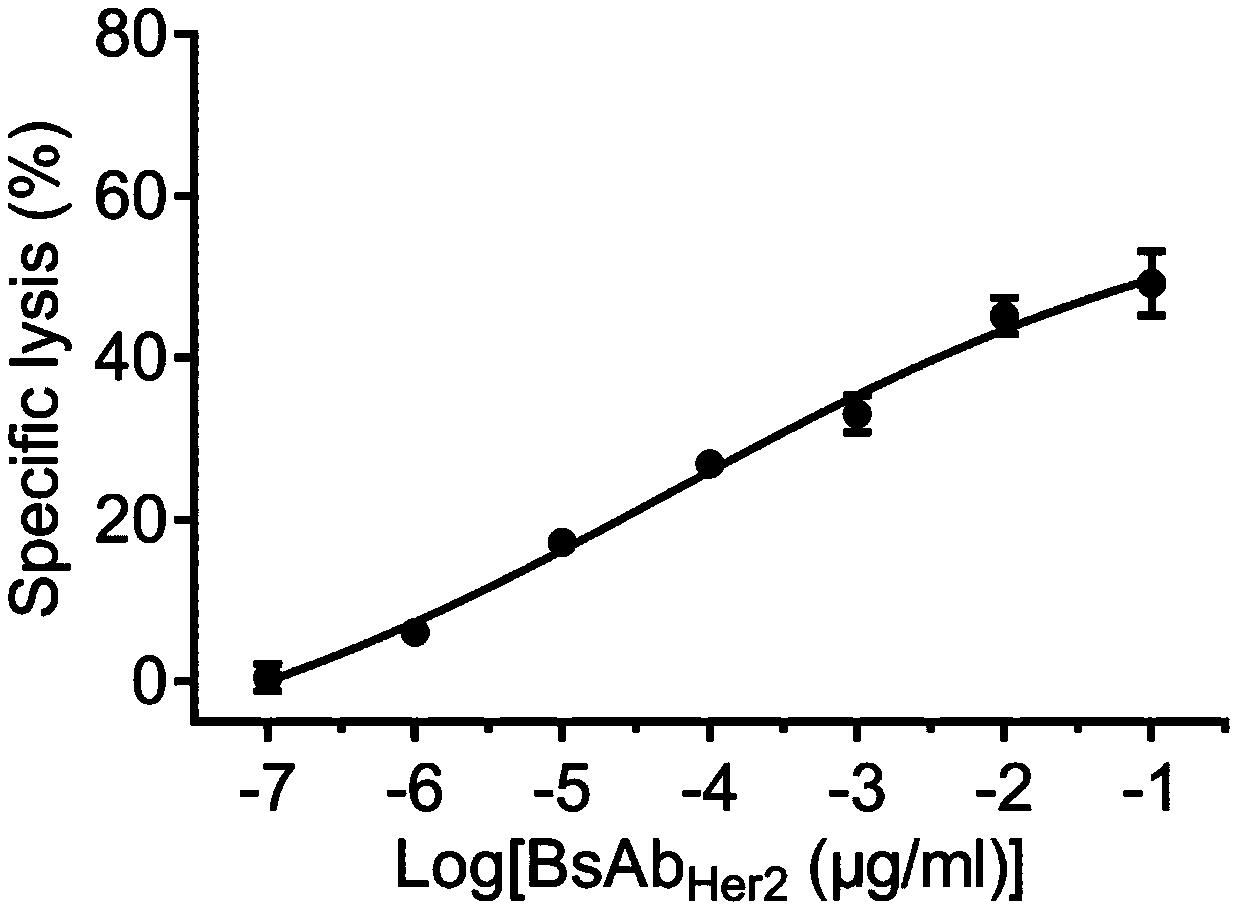 MC (Minicircle) DNA (Deoxyribonucleic Acid) for expressing Her2-BTEC [Bridge between Her2 (Human Epidermal Growth Factor Receptor-2)-Positive Cells and Effector Cells] and application thereof